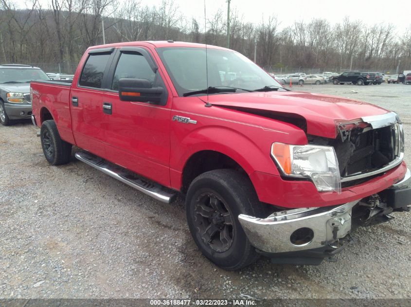 2013 FORD F-150 XL/XLT/FX4/LARIAT - 1FTFW1EF6DKE77232