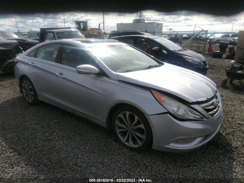 2013 HYUNDAI SONATA LIMITED - 5NPEC4AB5DH694214