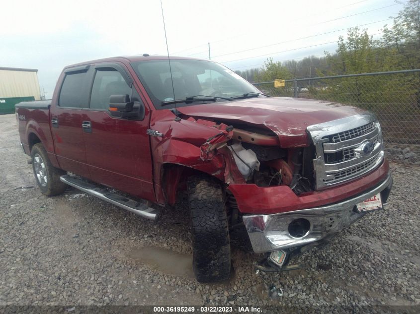 2014 FORD F-150 XL/XLT/STX/FX4/LARIAT - 1FTFW1EF9EKF50501