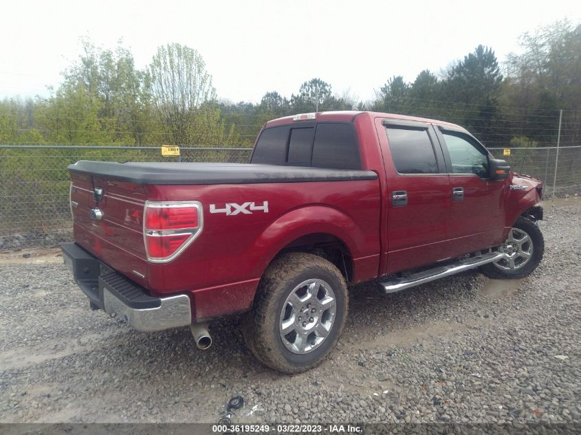 2014 FORD F-150 XL/XLT/STX/FX4/LARIAT - 1FTFW1EF9EKF50501