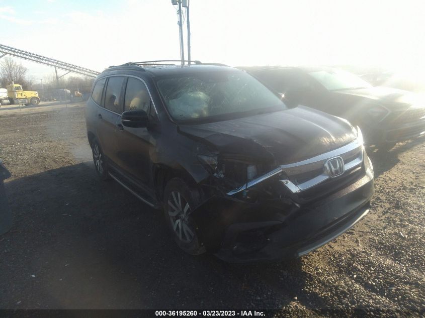 2019 HONDA PILOT EX-L - 5FNYF6H51KB024719