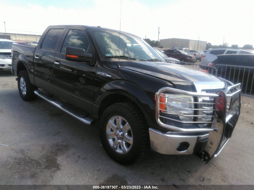 2014 FORD F-150 XL/STX/XLT - 1FTEW1CM8EKD51193