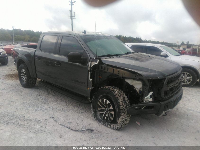 2019 FORD F-150 RAPTOR - 1FTFW1RG2KFC53271