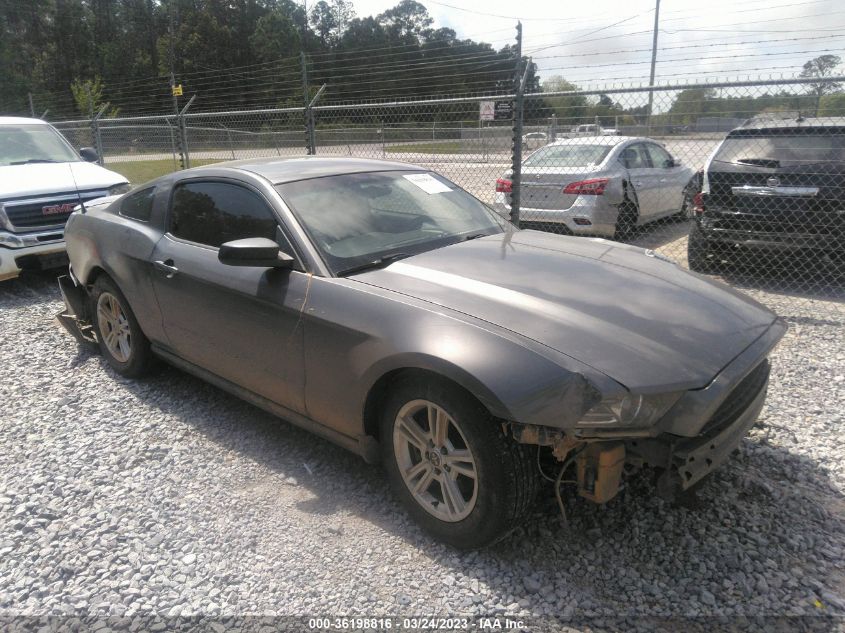 2013 FORD MUSTANG V6 - 1ZVBP8AM1D5265441