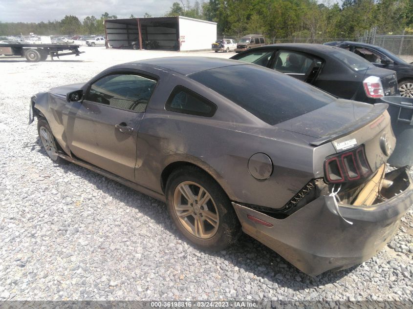 2013 FORD MUSTANG V6 - 1ZVBP8AM1D5265441