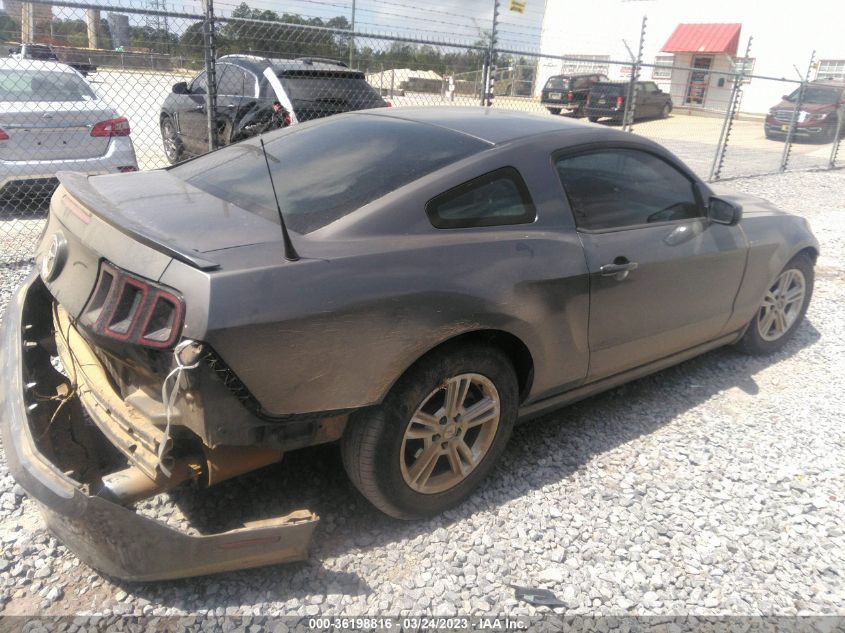 2013 FORD MUSTANG V6 - 1ZVBP8AM1D5265441