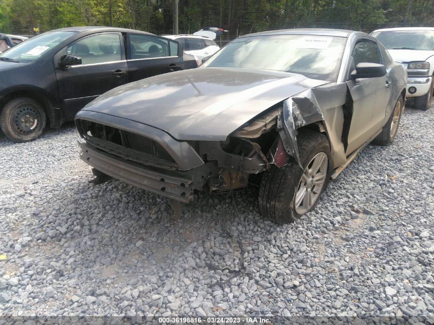 2013 FORD MUSTANG V6 - 1ZVBP8AM1D5265441