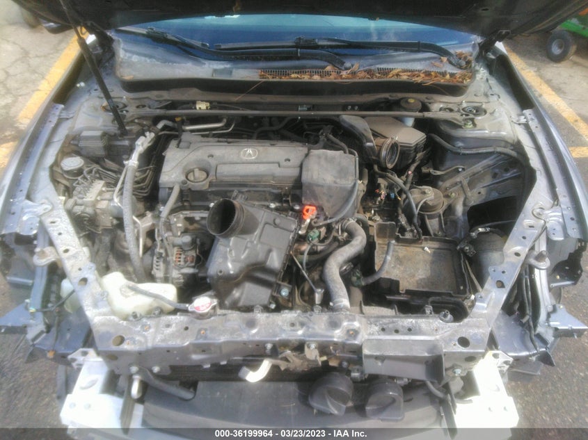 VIN 19UUB1F32HA005520 2017 ACURA TLX
