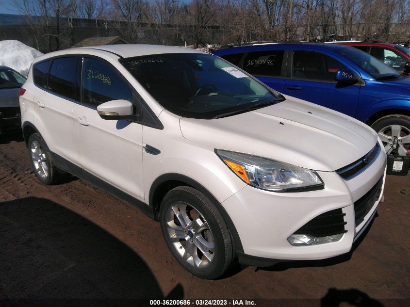 2013 FORD ESCAPE SEL - 1FMCU0HX9DUC55033