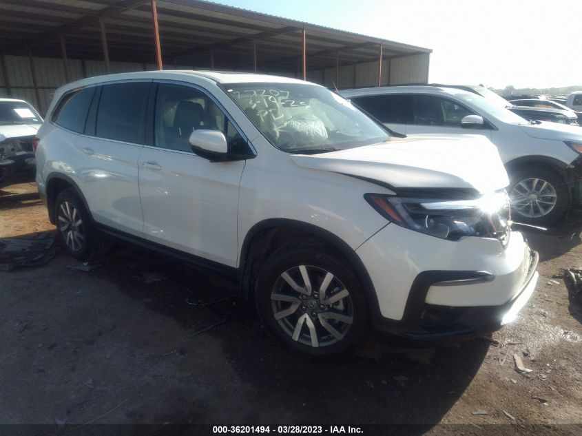 2019 HONDA PILOT EX-L - 5FNYF5H56KB031921