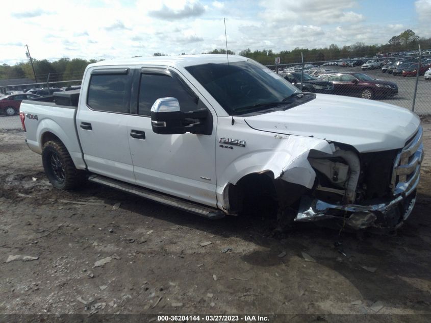 2015 FORD F-150 XLT - 1FTEW1EG2FFB00669