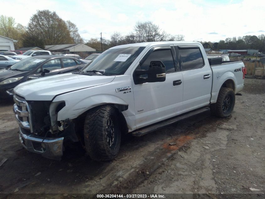 2015 FORD F-150 XLT - 1FTEW1EG2FFB00669