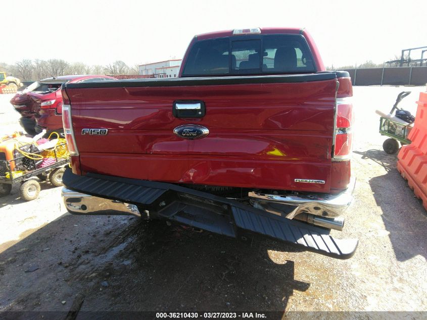 2013 FORD F-150 XL/STX/XLT/FX2/LARIAT - 1FTFX1CFXDKG49391