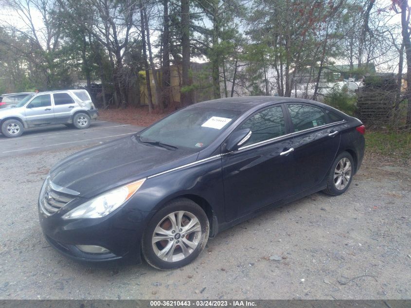 2013 HYUNDAI SONATA GLS/SE/LIMITED - 5NPEC4AC2DH544358