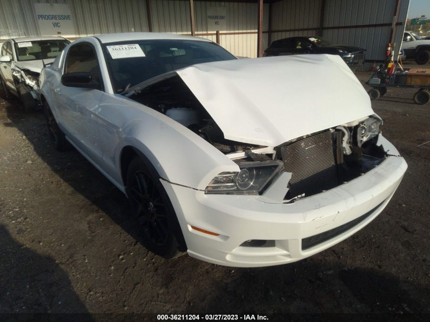 2014 FORD MUSTANG V6 - 1ZVBP8AM8E5284747