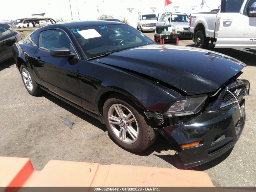 2014 FORD MUSTANG V6 - 1ZVBP8AM6E5261693