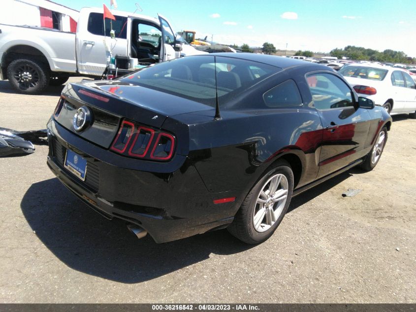 2014 FORD MUSTANG V6 - 1ZVBP8AM6E5261693