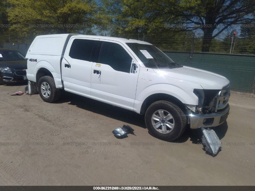 2015 FORD F-150 XLT - 1FTEW1EF2FFA26337