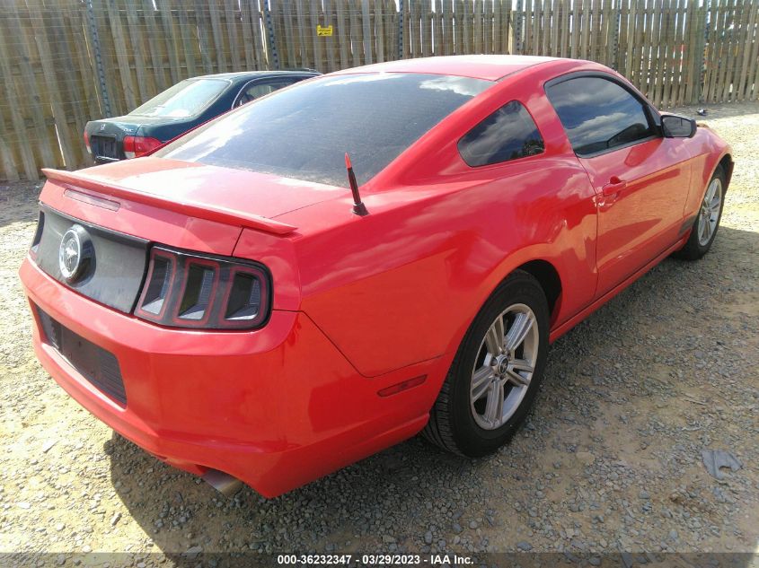 2013 FORD MUSTANG V6 - 1ZVBP8AM5D5230756