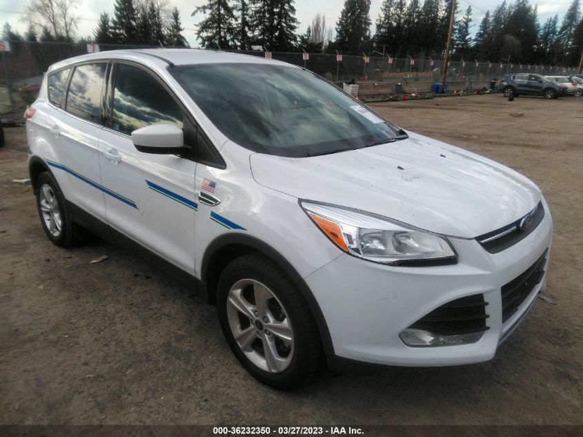 2014 FORD ESCAPE SE - 1FMCU9GX2EUD09571