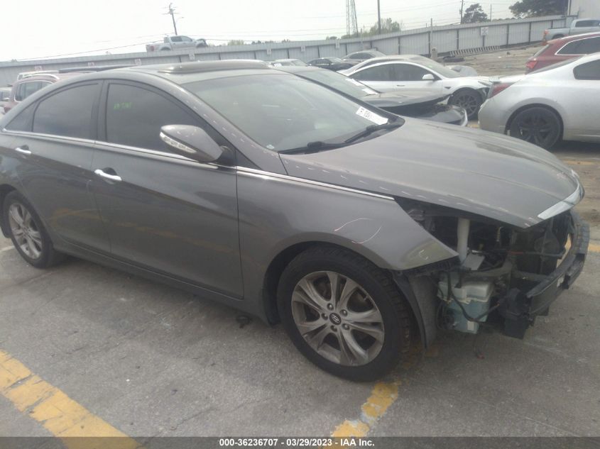 2013 HYUNDAI SONATA LIMITED - 5NPEC4AC0DH622037