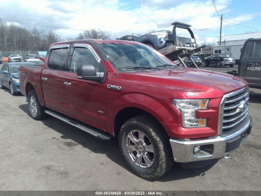 2015 FORD F-150 XLT/XL/LARIAT - 1FTEW1EP5FFA95189