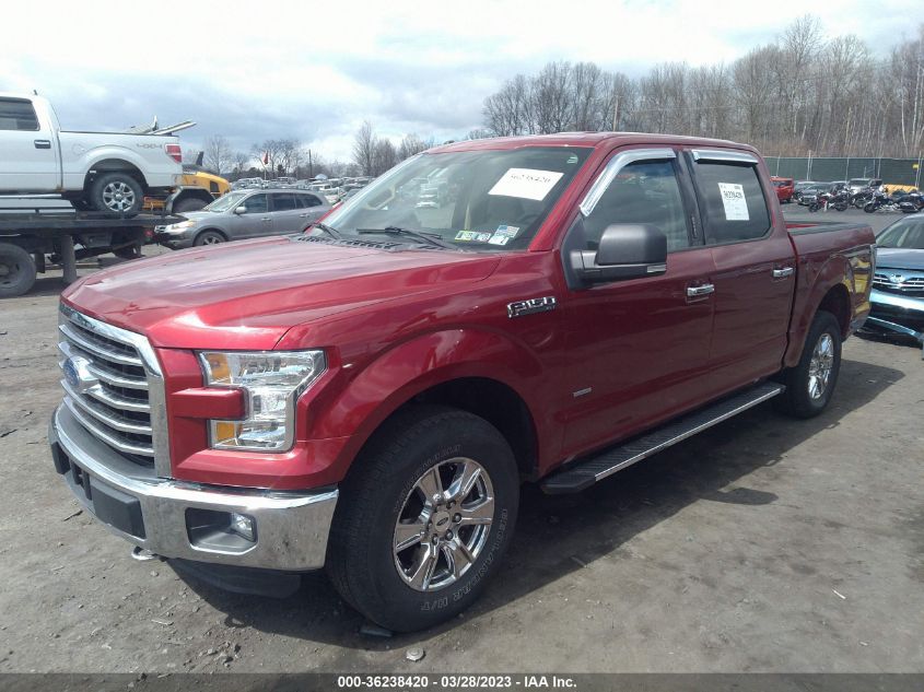 2015 FORD F-150 XLT/XL/LARIAT - 1FTEW1EP5FFA95189