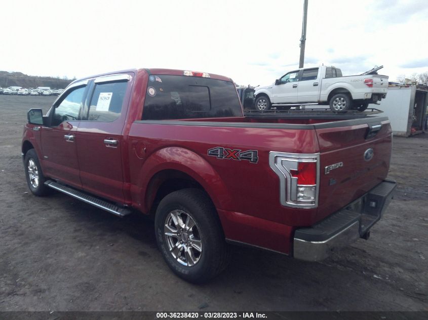 2015 FORD F-150 XLT/XL/LARIAT - 1FTEW1EP5FFA95189