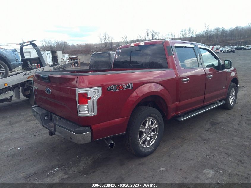 2015 FORD F-150 XLT/XL/LARIAT - 1FTEW1EP5FFA95189