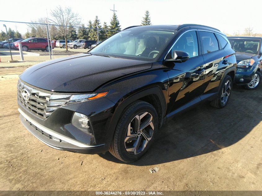 2023 HYUNDAI TUCSON SEL - 5NMJFCAE1PH229912