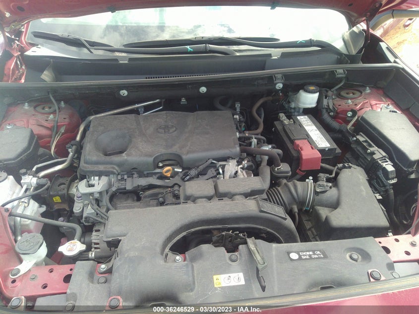 VIN 2T3W1RFV0KC004743 2019 TOYOTA RAV4 XLE