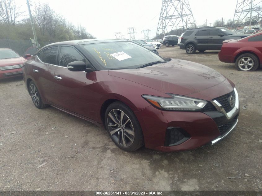 2019 NISSAN MAXIMA SL - 1N4AA6AV8KC375835