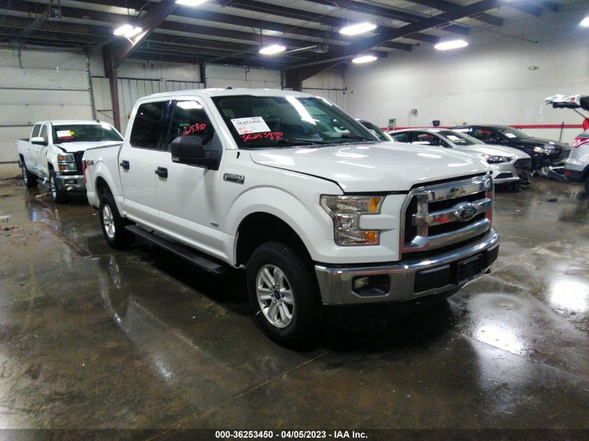 2015 FORD F-150 XLT - 1FTEW1EP6FFB41645