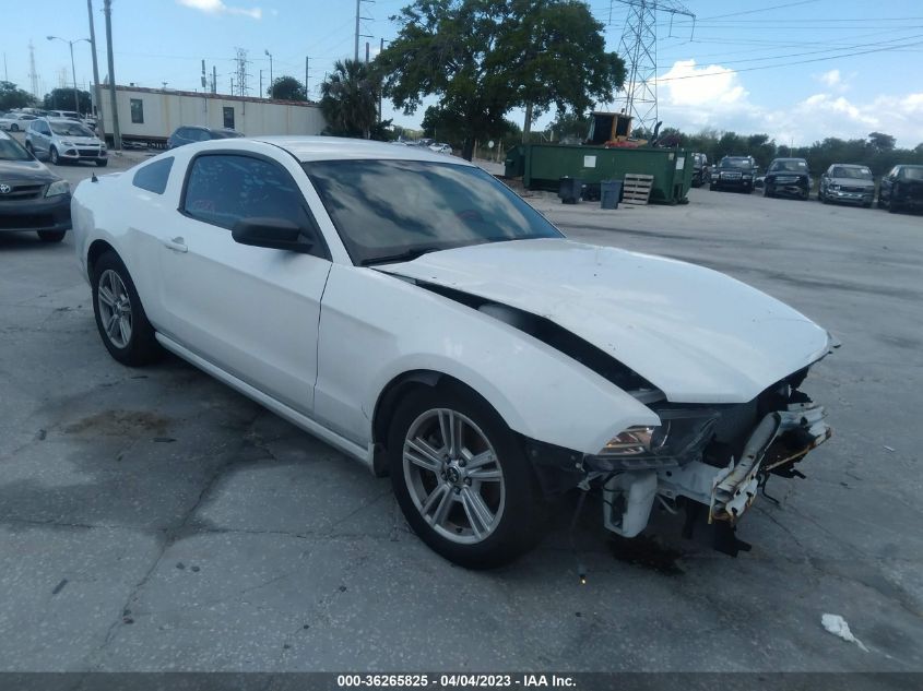 2014 FORD MUSTANG V6 - 1ZVBP8AM3E5264342