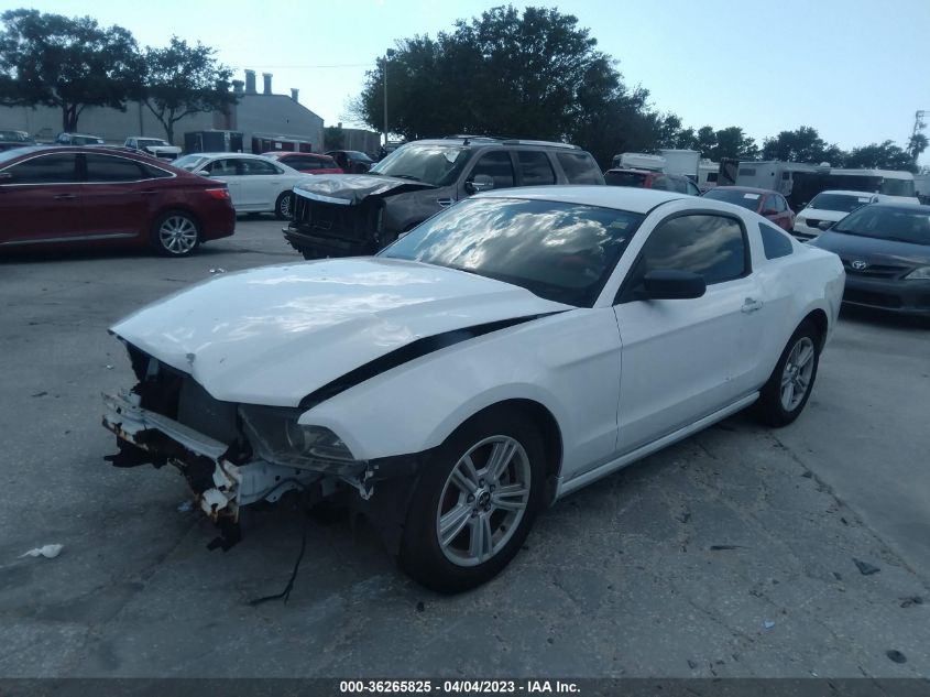 2014 FORD MUSTANG V6 - 1ZVBP8AM3E5264342