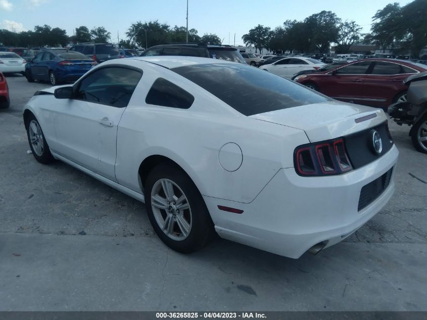 2014 FORD MUSTANG V6 - 1ZVBP8AM3E5264342