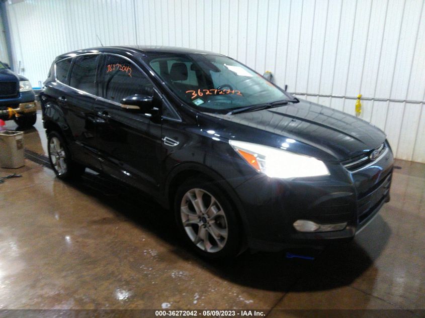 2013 FORD ESCAPE SEL - 1FMCU0H93DUD53573