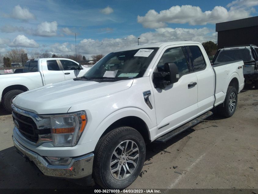 2021 FORD F-150 XL/XLT/LARIAT - 1FTFX1E19MFB10691