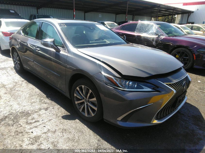 2019 LEXUS ES ES 300H - 58AB21B18KU002044