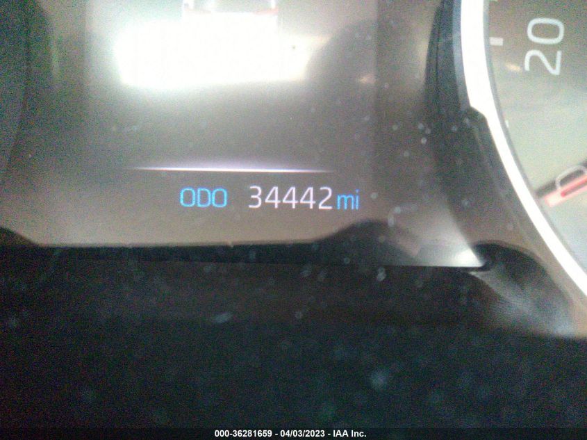 2019 TOYOTA RAV4 XLE - 2T3P1RFV4KC048037
