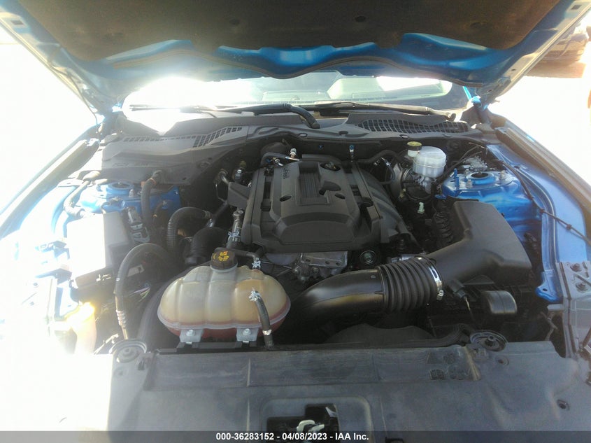 VIN 1FA6P8TH5K5175491 2019 FORD MUSTANG ECOBOOST