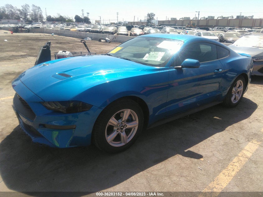 VIN 1FA6P8TH5K5175491 2019 FORD MUSTANG ECOBOOST