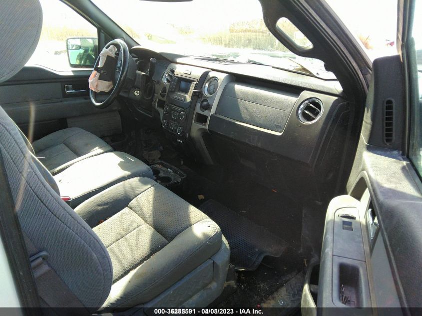 2013 FORD F-150 XL/STX/XLT - 1FTMF1CM6DKF91854