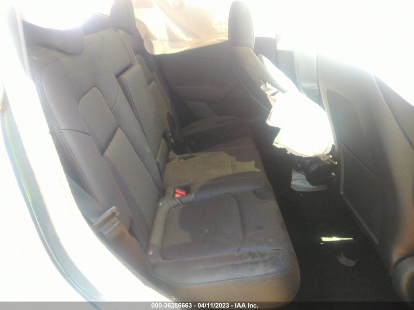 VIN 7SAYGDEE9PA054516 2023 TESLA MODEL Y LONG RANGE