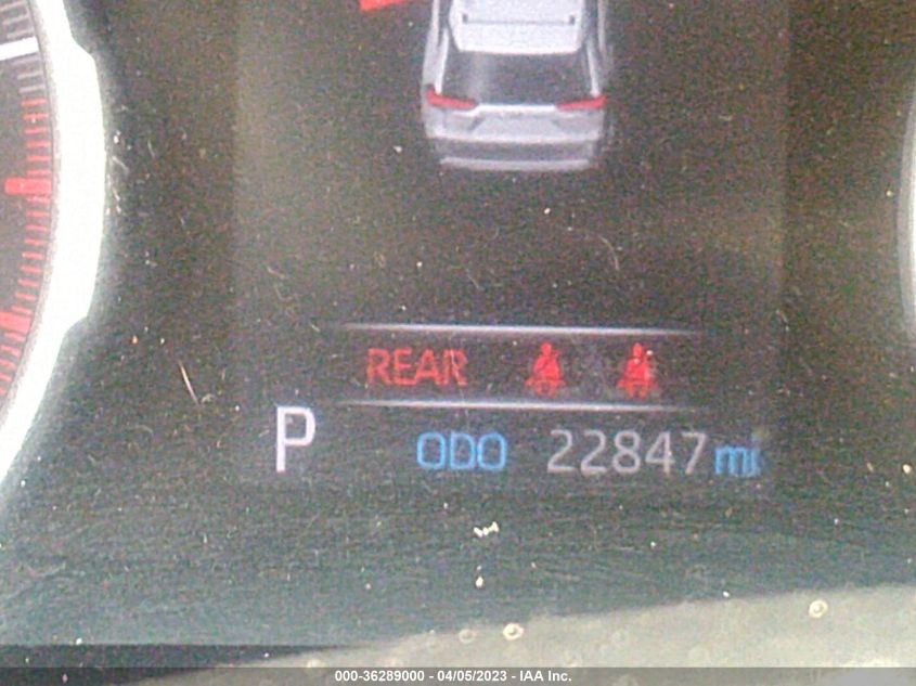 2019 TOYOTA RAV4 XLE - 2T3W1RFV7KC023127