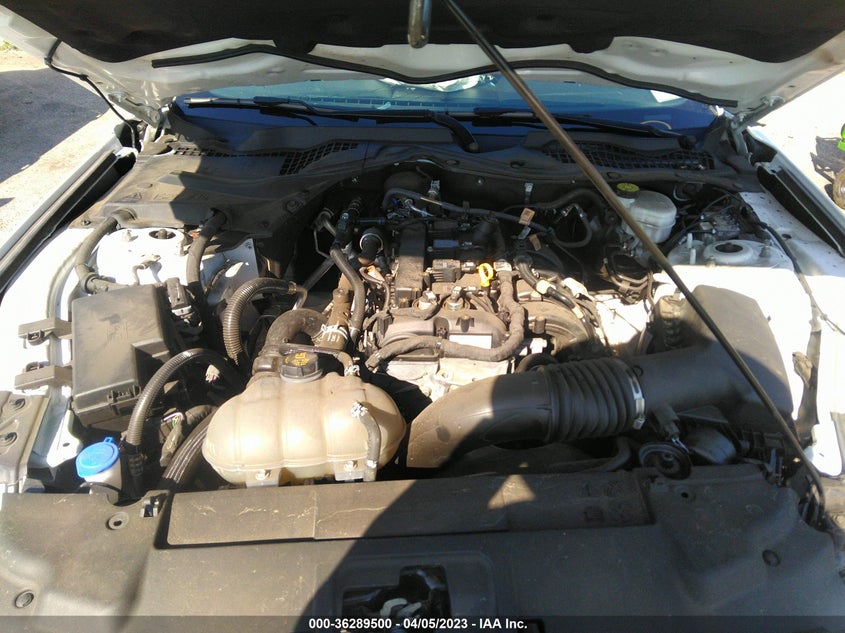 VIN 1FA6P8TH6M5110409 2021 FORD MUSTANG ECOBOOST