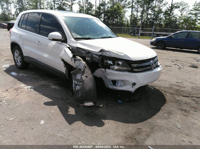 2013 VOLKSWAGEN TIGUAN S W/SUNROOF - WVGAV3AX8DW597013