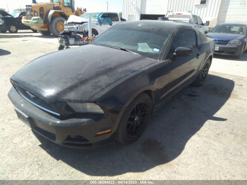 2014 FORD MUSTANG V6 - 1ZVBP8AM6E5288294