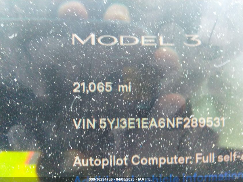 2022 TESLA MODEL 3 - 5YJ3E1EA6NF289531