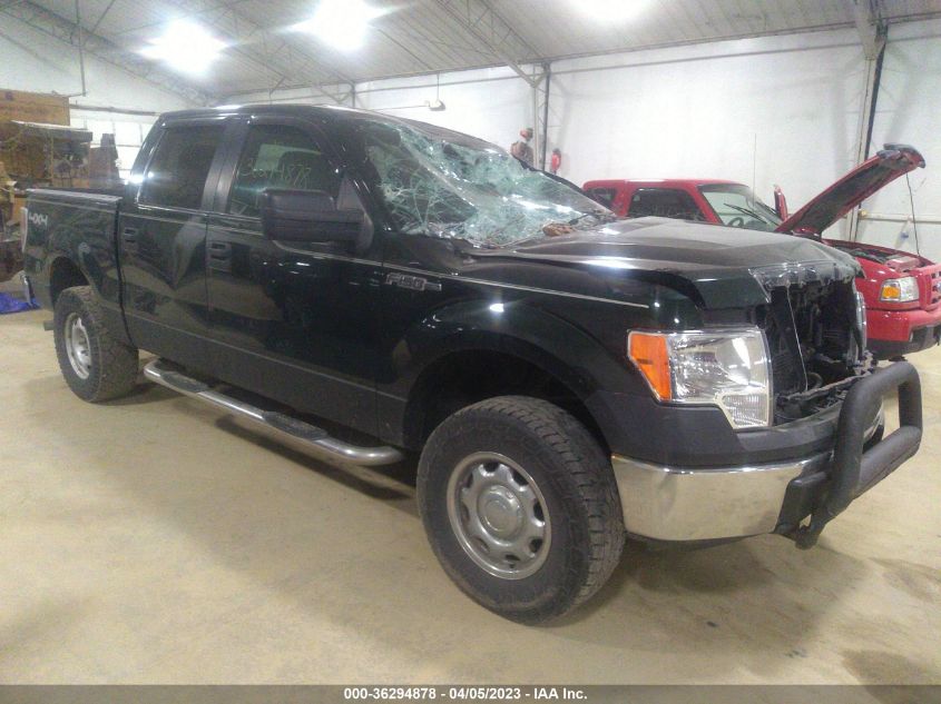 2013 FORD F-150 XL/XLT/FX4/LARIAT - 1FTFW1EF6DFA13513